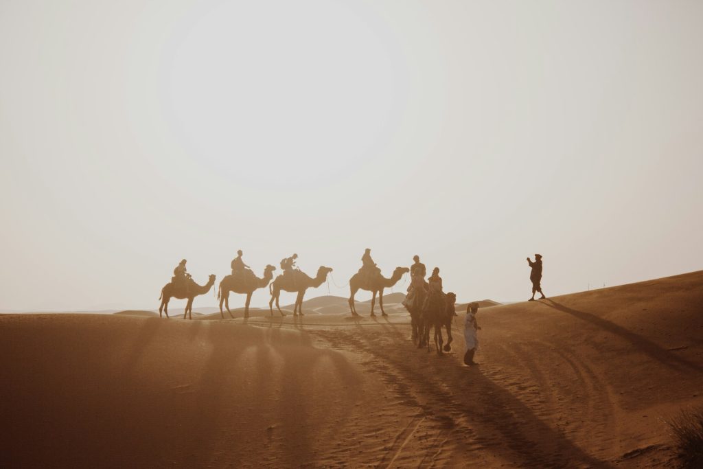 Camel Trek, desierto camello