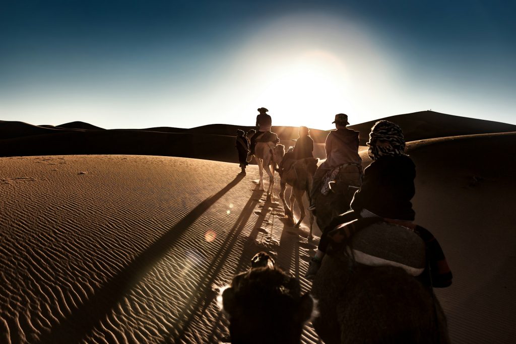 Camel Trekking, paseo en camello