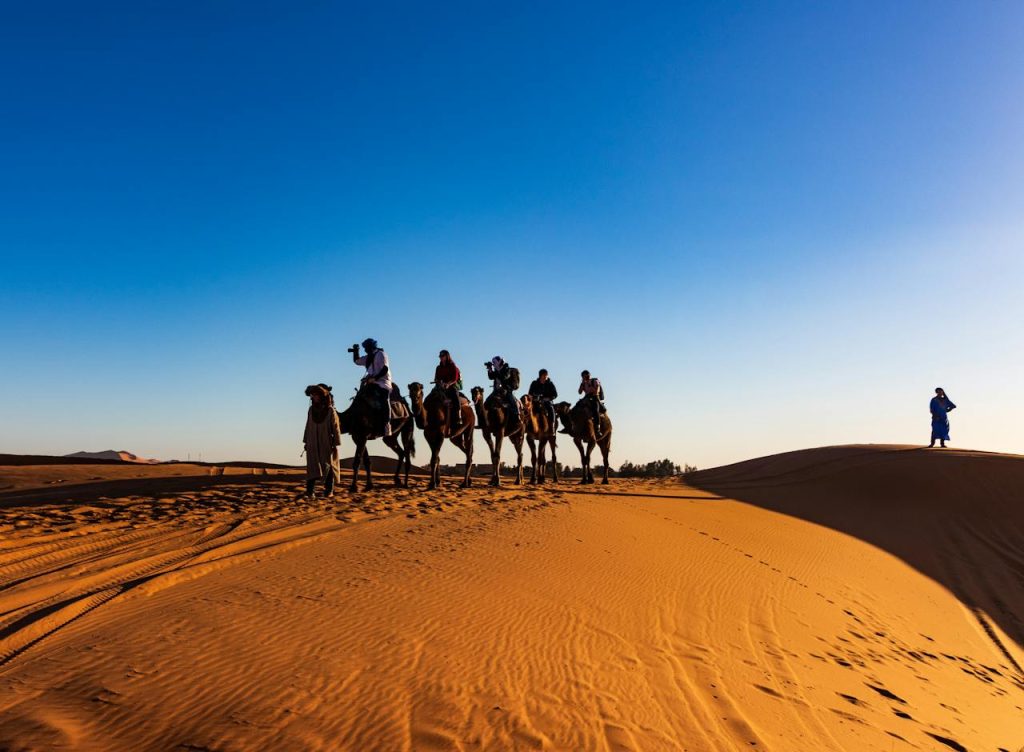 Camel Treks in Merzouga